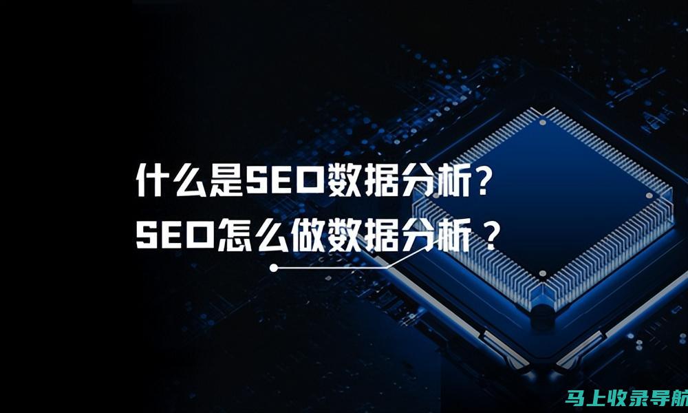 SEO案例解析：策略、执行与成果一览